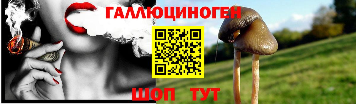 Галлюциногенные грибы Magic Shrooms Мелеуз